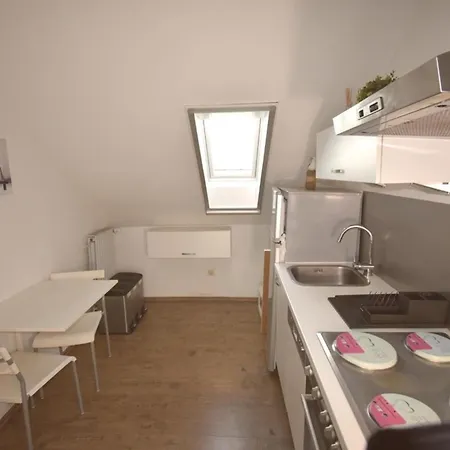 Spitz * ドルヌム